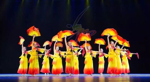 百花齊放春滿園——曹妃甸文化惠民活動異彩紛呈